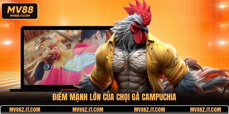 Điểm mạnh lớn của chọi gà Campuchia