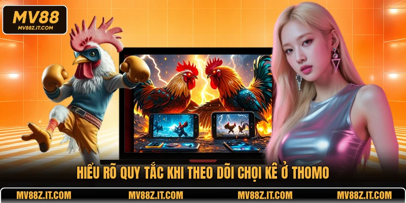 Hiểu rõ quy tắc khi theo dõi chọi kê ở Thomo