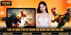 Luật Áp Dụng Ở Đá Gà Thomo Mà Người Chơi Cần Phải Biết