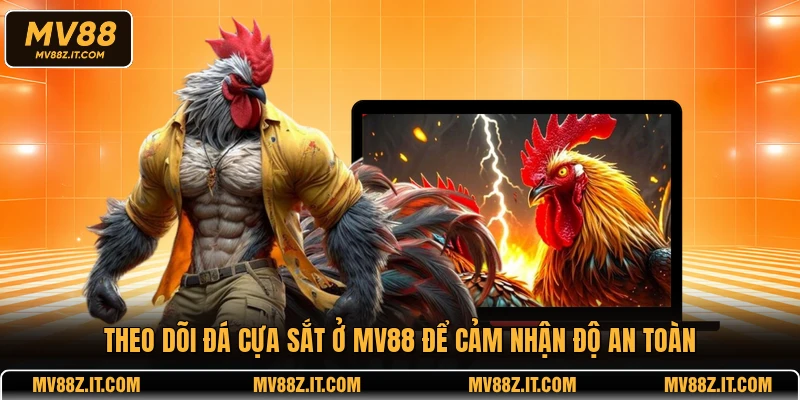 Theo dõi đá gà cựa sắt ở MV88 để cảm nhận độ an toàn